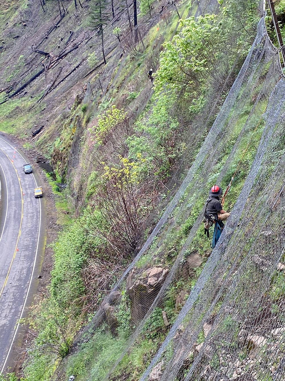 A photo of a professionally trained worker installing attenuator mesh on a hillside