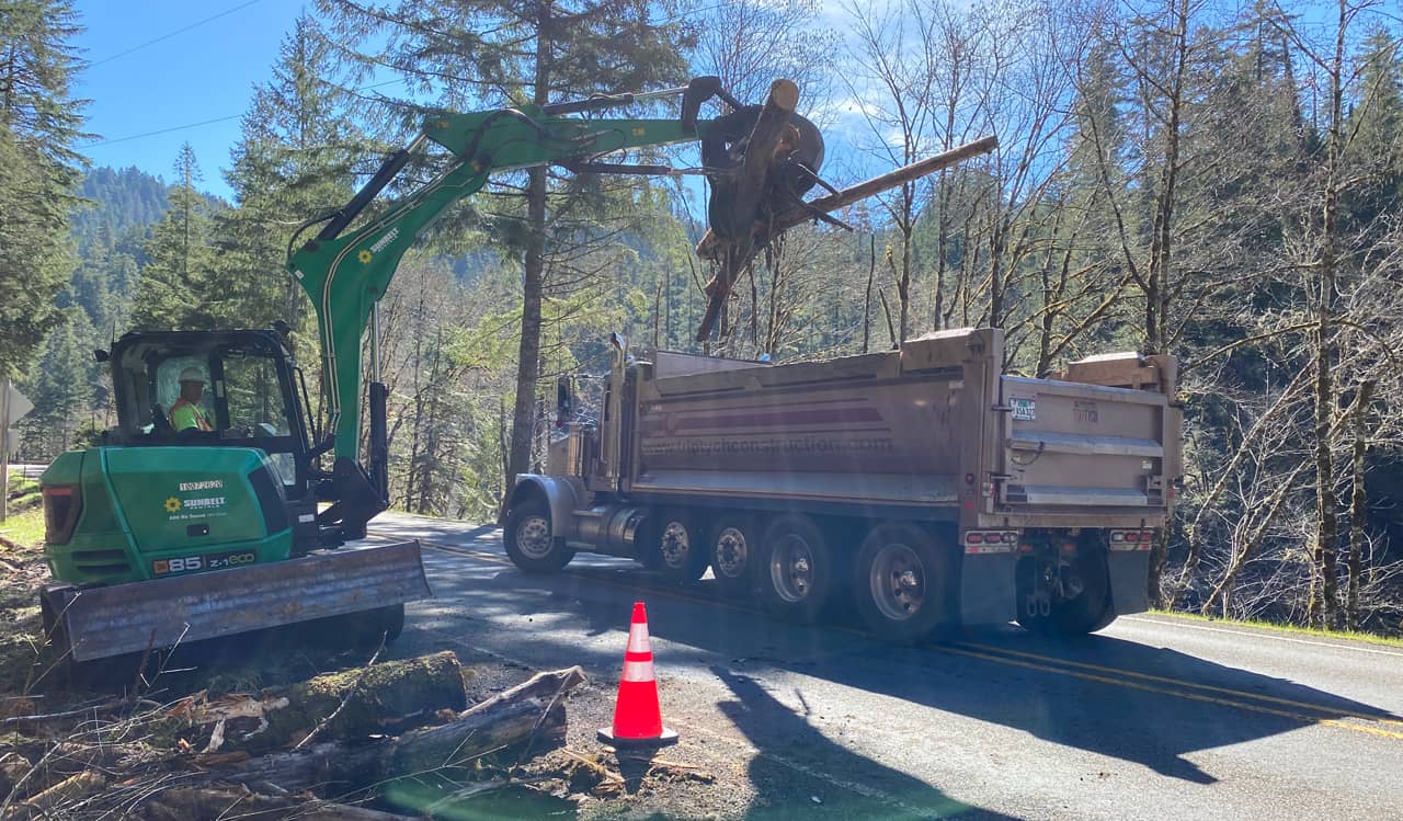 A photo of a fallen tree clean up operation